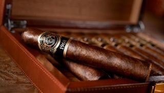 Cigar