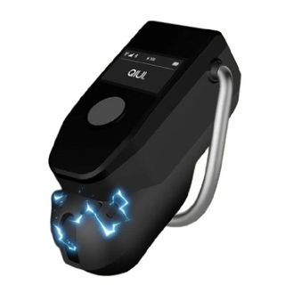 Cellmate 3 Electrified Chastity Cage