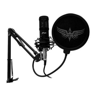 Professional microphone