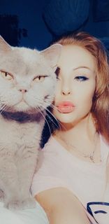 PLACE  FOR  HOMELESS  CATS