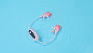 Lovense nipple clamps