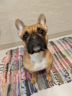 Save up for a seaside vacation