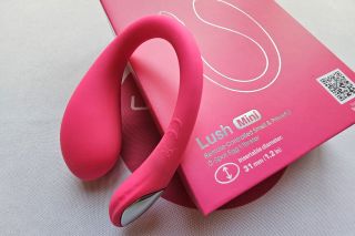 lovense toy
