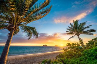 Tropical island visit