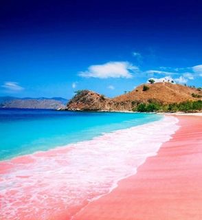 We want to go on vacation
