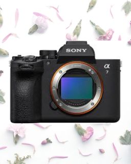 SONY a7v 4K