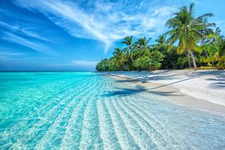 Travel to the ocean