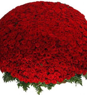 Well that would be great