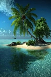 Go to the beach