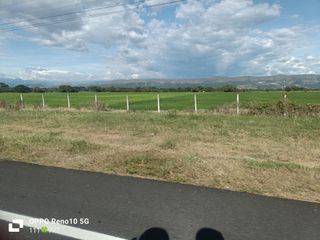 Deseo comprar mi propio terreno