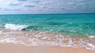 sea