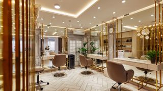 I dream of having my own beauty parlor
