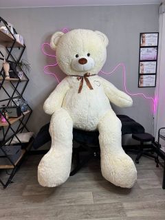 Big teddy bear✨