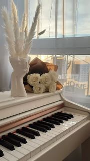 Buy a grand piano