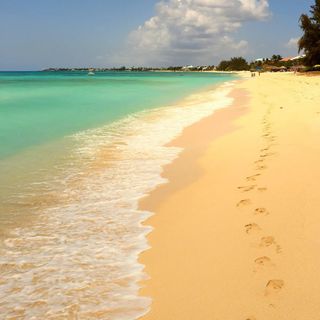 I want to know the sea