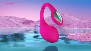 Lovense Vibrator - $200