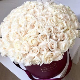 a large bouquet of roses