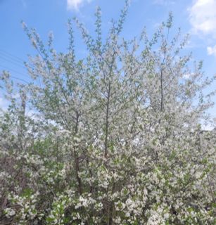 round the world trip