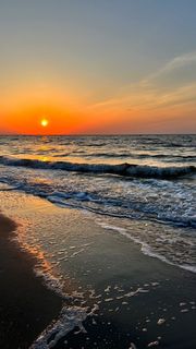 Do you dream of flying to the sea?
