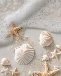 TRIP TO THE BEACH