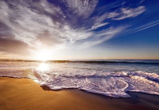 We want to go to the sea