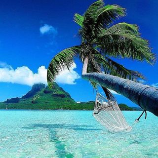 Conocer la playa