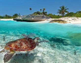 I want to meet the beach