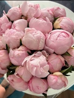 Flowers are always nice❤️