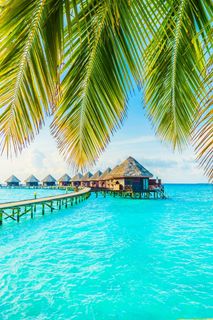 My dream is to go on vacation