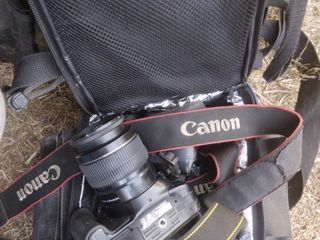 To reach  a higher rate