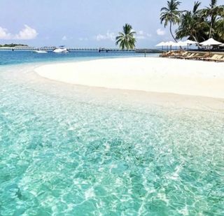 lunanight wish list item 2 thumbnail