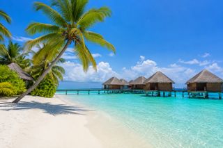 My Dream Trip ✈️