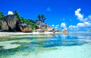 My dream is to go on a round trip