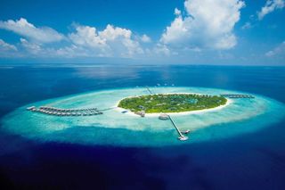Go to Maldives