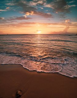 We want to go to the sea