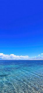 Holidays at sea
