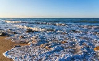 Take your beloved daughter to the sea