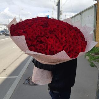 Roses