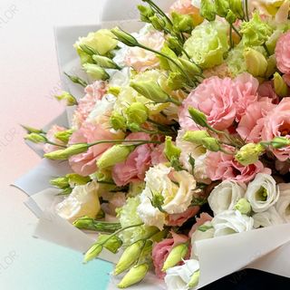 Bouquet of flowers