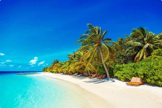To the Maldives