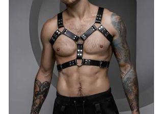 Harness