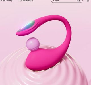 PetiteProvocateur wish list item 1 thumbnail