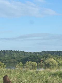 Хотим снять квартиру своей мечты