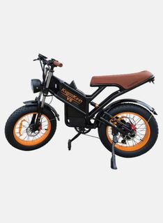 Electric bicycle