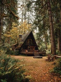 house in the woods