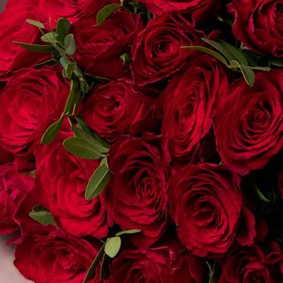 Bouquet of roses