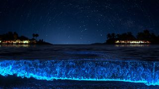 Moving to the sea