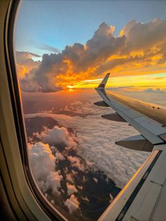 travel the world