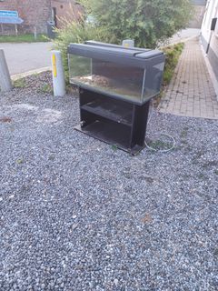 Aquarium
