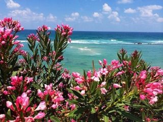 buy a car, a 3-room apartment.